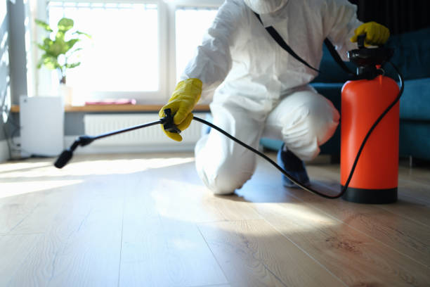 Reliable Odor Removal contractor in Hillsboro, WI by Trauma Clean Pros